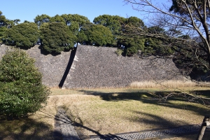 �{�ې��ʂ̍��Ί_