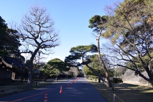 ���ʂ�i�k�����j