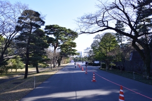 ���ʂ�i������j