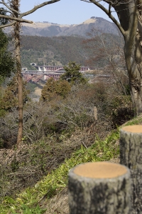 �͑����s����̒���