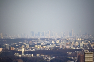 �����s���ƃX�J�C�c���[