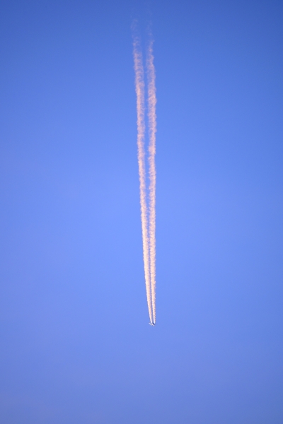 �I�����W�F�̔�s�@�_�c