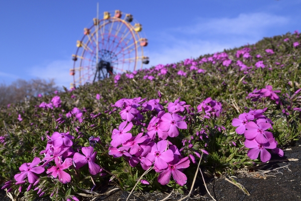 �ϗ��Ԃ��o�b�N��