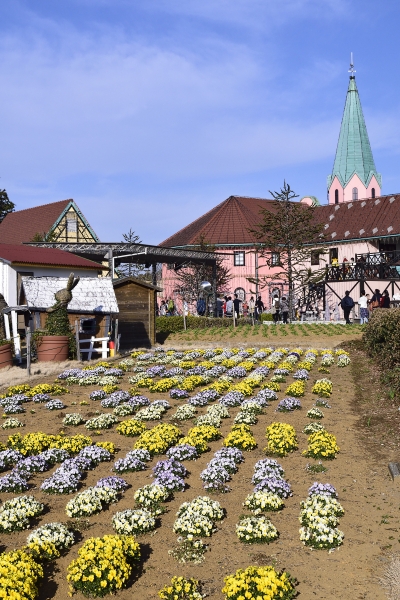 �����w���`��