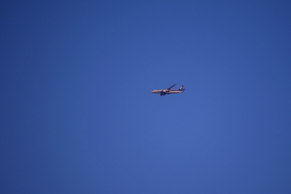 �[�z�Ɣ�s�@