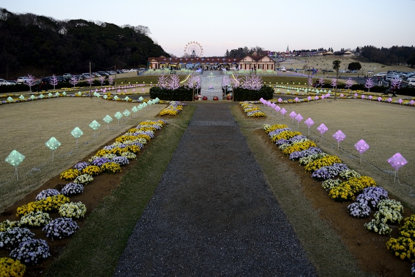 �뉀�C���~