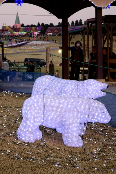 �V���N�}����