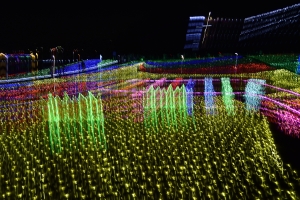 �c�ɐU������