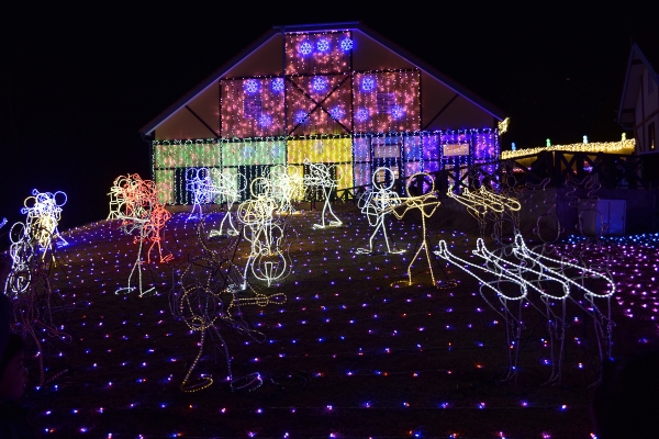 �d�����y��