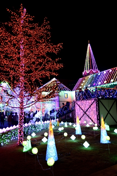 �Ƃ񂪂艮�����N�₩��