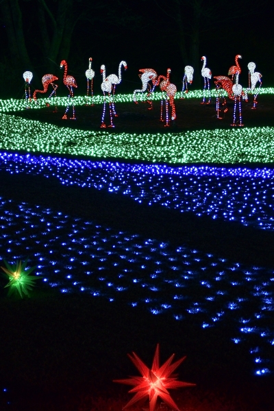 �g���t���~���S