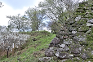 �Ί_����y�ۂ�