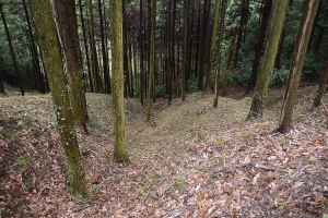 ����G�x�I