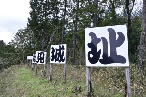 �\���隬�̊Ŕ�