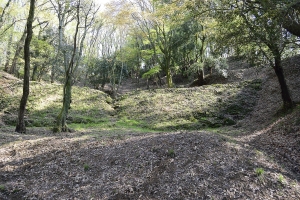 ���j�Ձ@��������� �勋��Ձ@������\