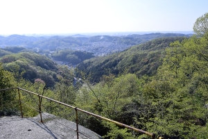 �勋�隬�@�����₩��̒���