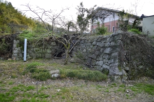 ���_���É��~