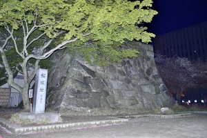 �L�c�s�j�Ձ@����Ί_