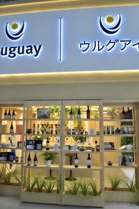 ウルグアイ展示
