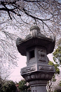伝統文化 その47