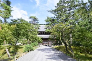 �`������ ����143