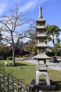 町・山・故郷 その239