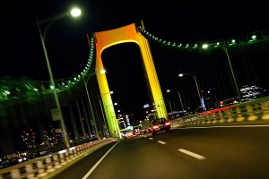 ���E�R�E�̋� ����241